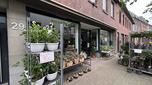 Pflanzenmarkt Peter Zuiderduin