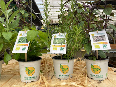 Bio Jungpflanzen Wunderlich