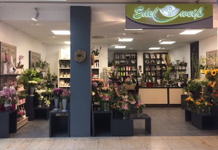 Blumen Edelweiß Erfurt Thüringenpark Süd