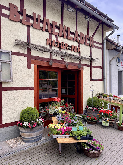 Natur Pur - Der Blumenladen