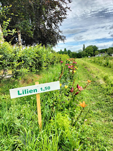 Bullerschen Blumen- & Gemüse-Feld Selbstbedienung