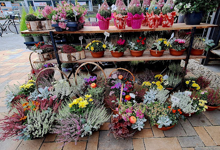 Linda Blumen Laden