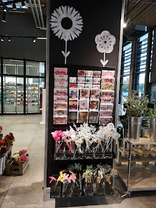 BLUME2000 Markthalle Krefeld