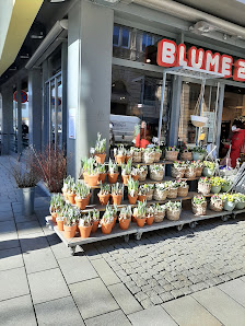 BLUME2000 Erfurt