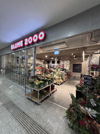 BLUME2000 Erfurt