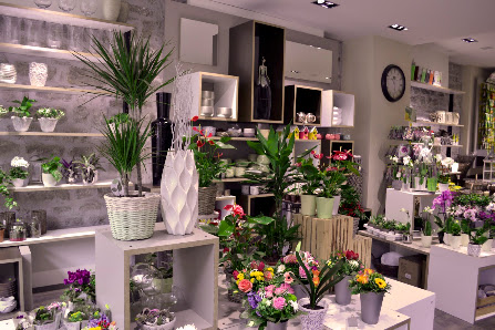Floristik und Gartenmarkt N.L.Chrestensen