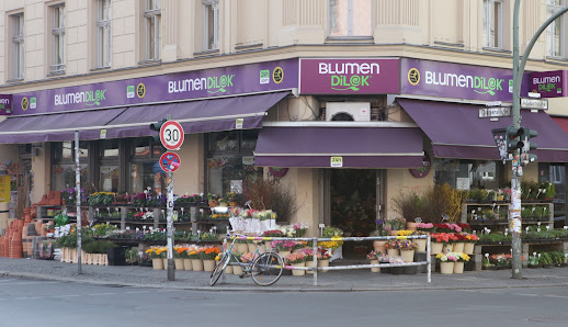 Blumen Dilek