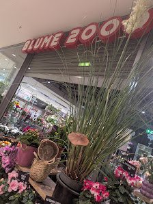 BLUME2000 Berlin Forum Köpenick