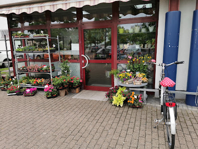 Blüte & Sti(e)l Floristikfachgeschäft