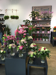 Blumen Edelweiß Erfurt T.E.C.