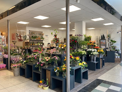 Blumen Edelweiß Erfurt T.E.C.