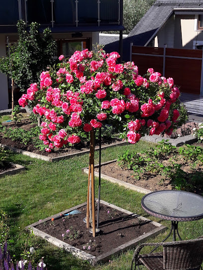 Blumenfachhandel Gärtner