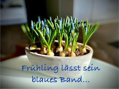 mein florist Erfurt-Mittelhausen