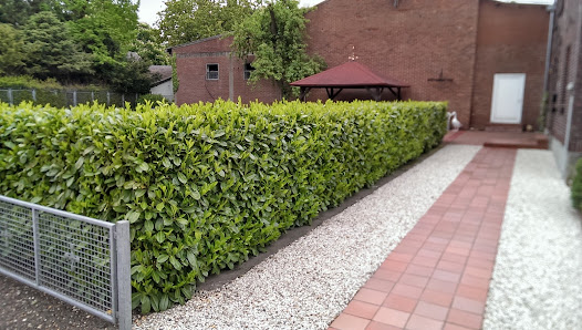 Pflanzen-Janssen GmbH
