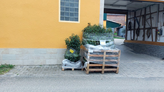 Pflanzen-Janssen GmbH