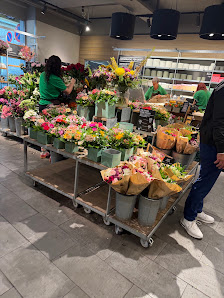 BLUME2000 Erfurt Bhf