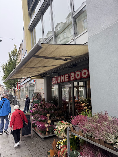 Blumengeschäft in Erfurt