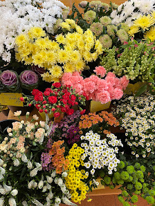 PROFiFLORA