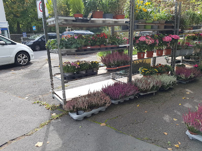 Bahnhofstrasse Fresh Flowers