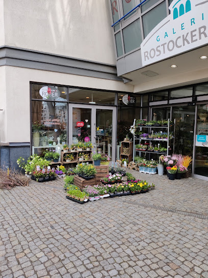 Blumen Robér