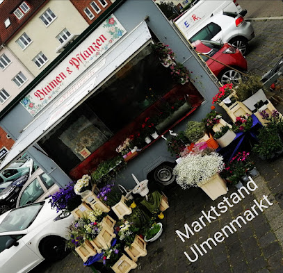 Freydis Fachhandel für Floristik und Räucherwerk Susanne Küster