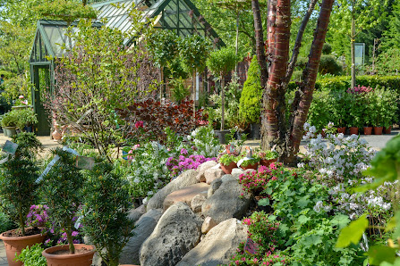 Lorberg Quality Plants GmbH & Co.KG Kleinziethen