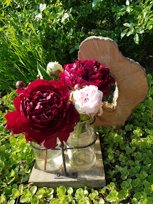 Tackes Blumenfelder