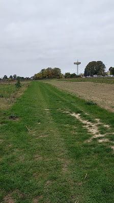 Tackes Blumenfelder