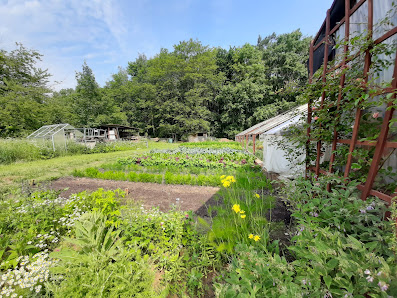 Wald und Erlebnisgarten