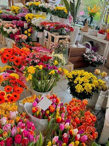 Blumenhaus Evershagen