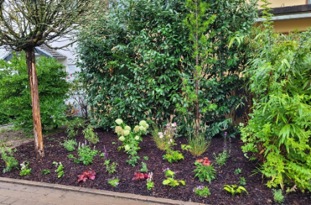 Haus und Gartenservice Borchardt