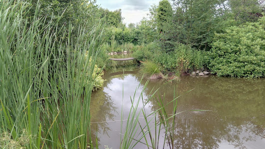 Gartenpflege Falkenhagen