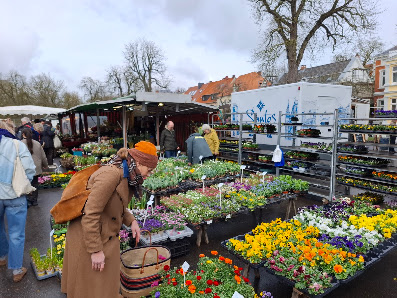 Uzel Blumenhandel