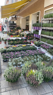 Der Blumenmann