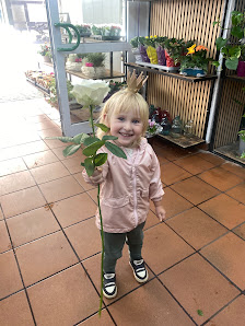 Der Blumenmann