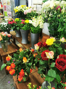 Blumen Kötting