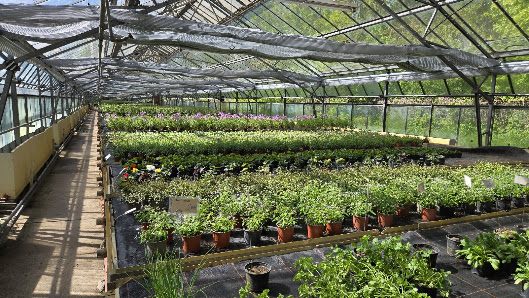 Gärtnerei Hirschgarten