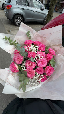 Blumen der Holländer