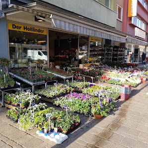 Blumen der Holländer