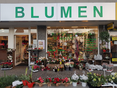 Aylas Blumen