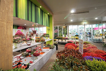 Bloomways GmbH