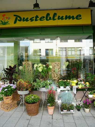 Blumenladen - Pusteblume - Blumen aus Saarbrücken