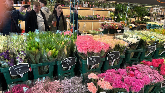 ORANJE BLUMEN
