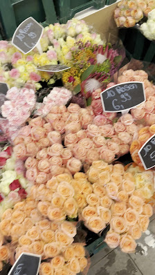 ORANJE BLUMEN