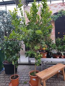 Dehner Garten-Center