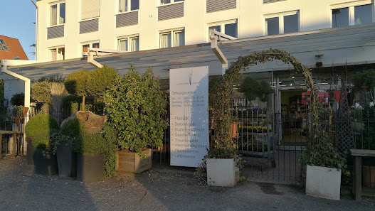 blumen schiffler