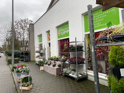 Blumen Rupp