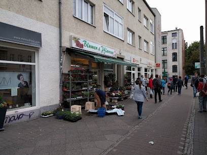 Blumen & Pflanzen