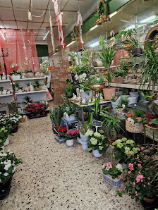 Blumen Spangenberg Dinslaken