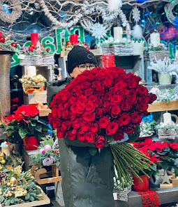 Blumen und Pflanzen HH